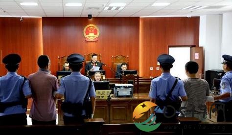 猎杀朱鹮获刑十年 铜川朱鹮猎杀案怎么回事