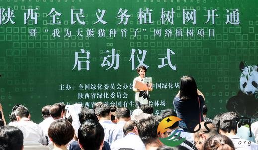 陕西植树网开通 植树网是什么样的网站