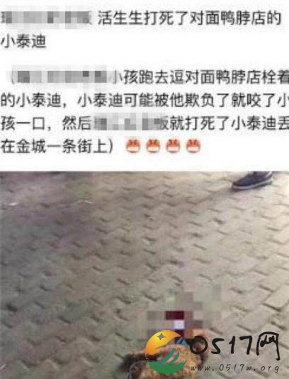 儿子被咬摔死泰迪 爱狗人士竟发恐吓短信和死亡威胁