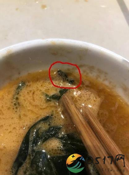 海底捞吃出苍蝇 难道海底捞有食品安全问题吗