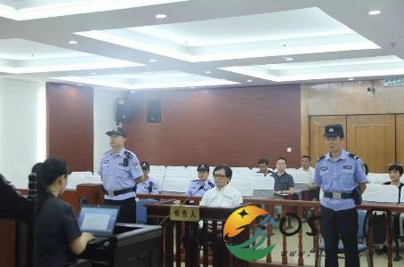 杨敬农获刑10年 杨敬农为何会获刑