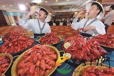 南京50万年薪招品虾师 吃货们来做品虾师吧