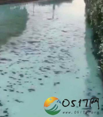 南通河流变牛奶河 难道是河流被污染了吗