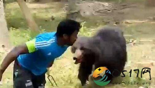 印度黑熊咬死夫妇 他们是如何遇上黑熊的