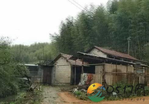 男子卖房进山沟住公墓 大城市不待为何来小山村