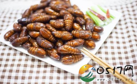 吃20只炸知了休克 难道知了不能食用吗