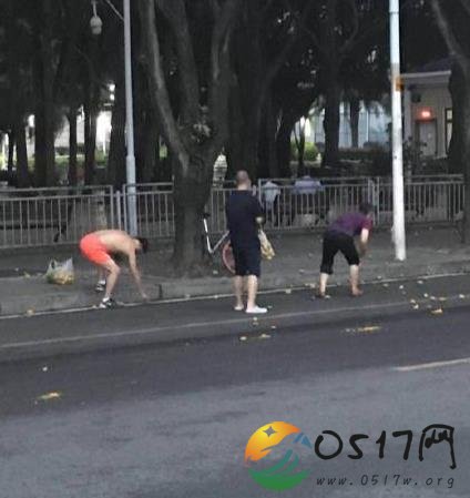 民众冒着台风捡芒果 不用钱买谁都愿意捡