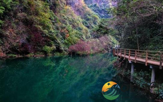 张家界滚石滑落 当时究竟是什么情况