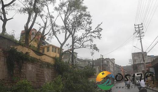 川陕甘暴雨洪水 洪水导致多地受灾严重