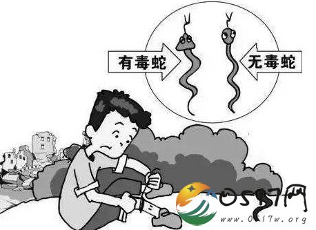 网购银环蛇被咬伤 咬伤后竟没有及时就医