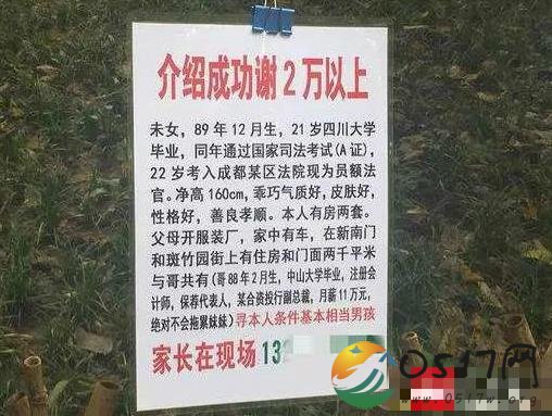 女子征婚启事火了 究竟是什么让女子成了剩女