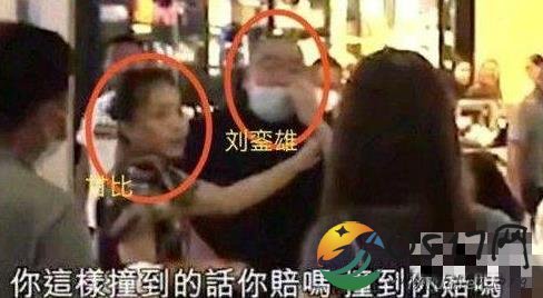 香港富商刘銮雄咒骂少女 少女让刘銮雄积点德