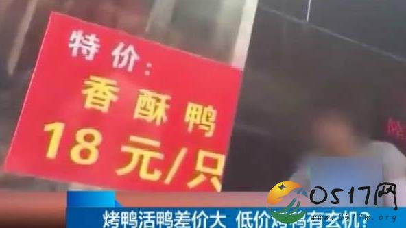 18元烤鸭调查 这么便宜的鸭子你敢吃吗