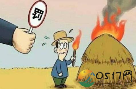 河北禁露天烧秸秆 秸秆其实还有别的用处
