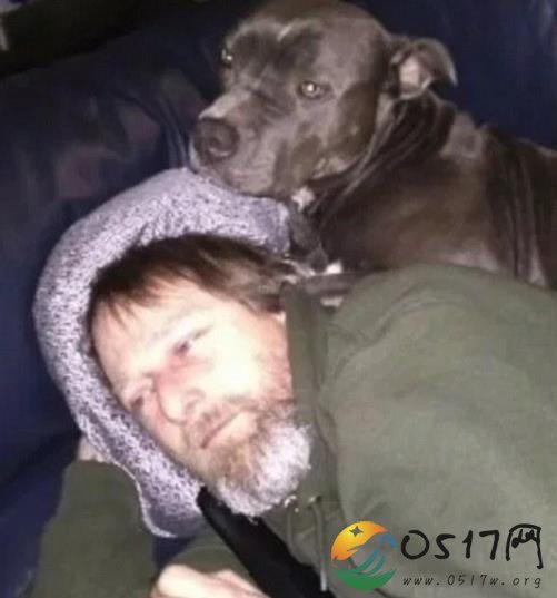 美国男子被爱犬舔舐后截肢 或许是与狗狗体内的病菌有关