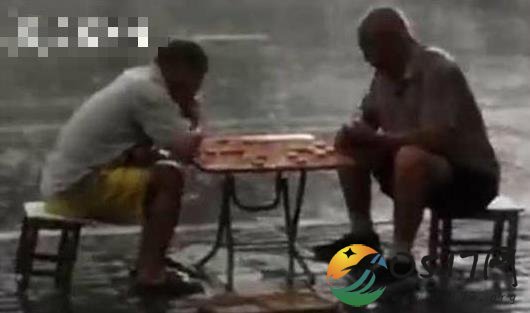 俩大爷暴雨中下棋 分不出胜负竟然就不离开