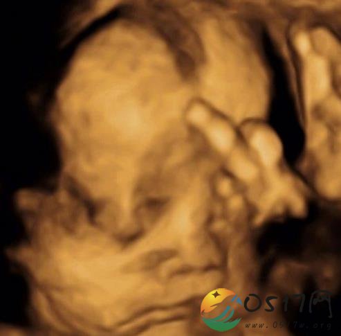 关颖晒三胎宝宝B超 宝宝竟对妈妈竖起了中指