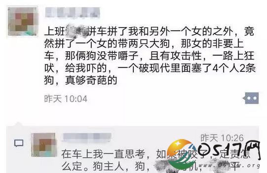 拼车拼到两条大狗 乘客司机都被吓得不轻