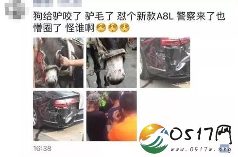 驴被咬受惊踢奥迪 奥迪车坏了谁应该赔偿