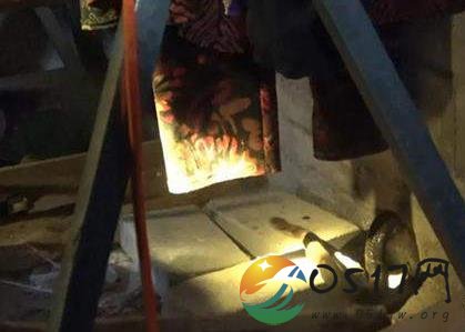 眼镜蛇钻老人被窝 最终求助消防员才请走不速之客