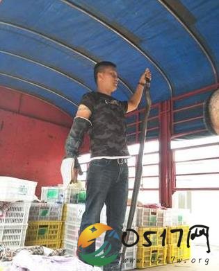 4千条活蛇塞满车厢 司机为何会运送活蛇