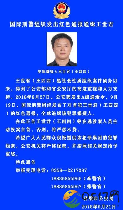 全球追缉王世君 王世君究竟犯了什么罪