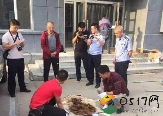 男子网购虎皮被抓 这男子胆子也太大了
