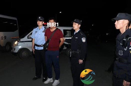 张学友演唱会又现逃犯 张学友不愧是“神捕”
