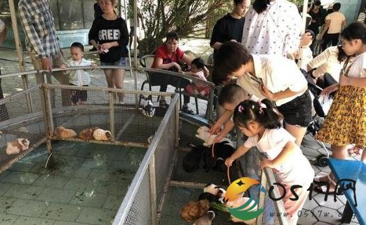 动物园没人提醒兔子咬人 当游客被咬伤动物园要负责吗