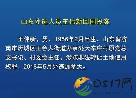 王伟新外逃投案 王伟新曾经犯了什么罪