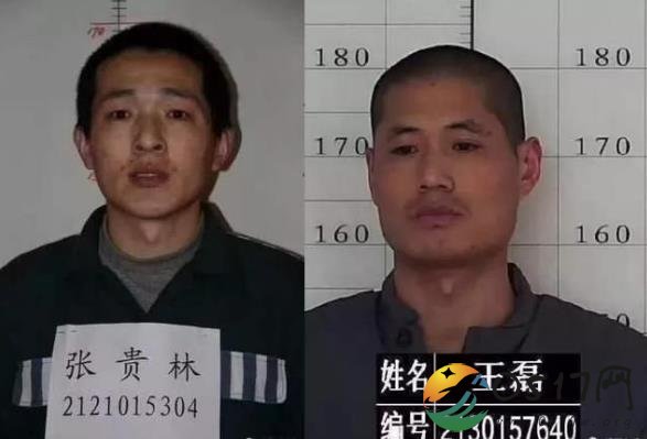 辽宁越狱监狱长被免 只因两罪犯越狱了