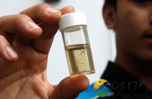 印度再次爆发寨卡病毒 感染寨卡病毒会出现什么状况