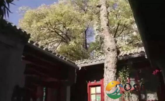 李晨四合院曝光 原来李晨是娱乐圈隐形的富豪