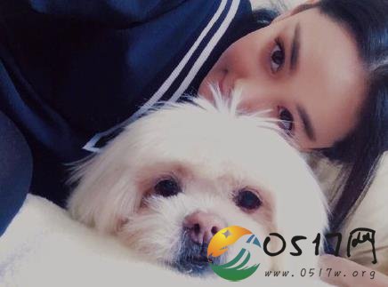 张馨予发文悼念爱犬 感谢它陪伴自己18年