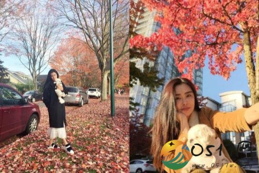 51岁王祖贤近照 女神依旧还是那么美丽动人