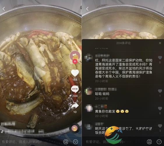 抖音煮二级保护动物 为了人气也不能伤害保护动物
