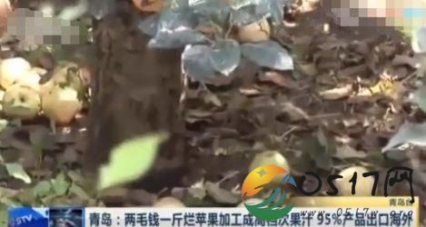 腐烂苹果加工成果汁 这样的果汁会有人买吗