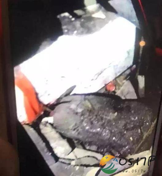 天降不明物体砸坏屋顶 究竟是什么破坏力这么强