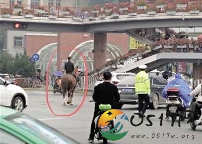 小伙骑马街头闲逛 这不是给交通添堵吗