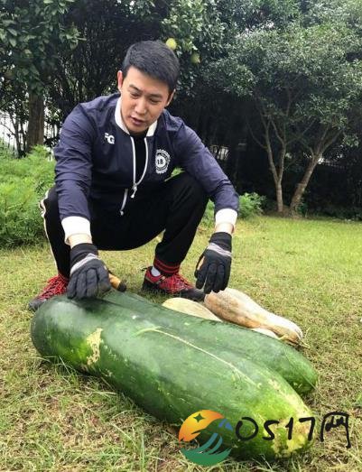 鲍蕾晒陆毅摸瓜照 疑似回应某女星插足婚姻传闻
