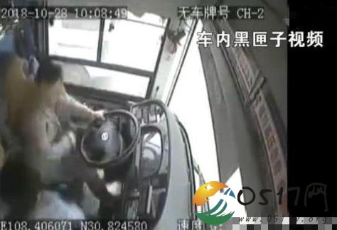 重庆公交坠江闹事女遭人肉 这位女乘客究竟是谁