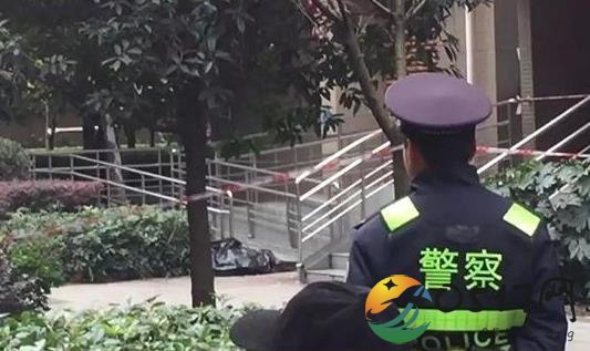 坠楼中尸体遭“分解” 究竟发生了什么事情