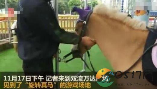 旋转真马又开业 难道不觉得对真马来说很残忍吗