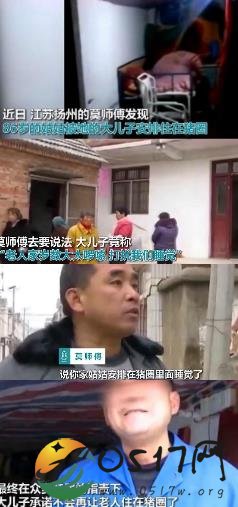 儿子让母亲住猪圈 怎么忍心如此对待母亲