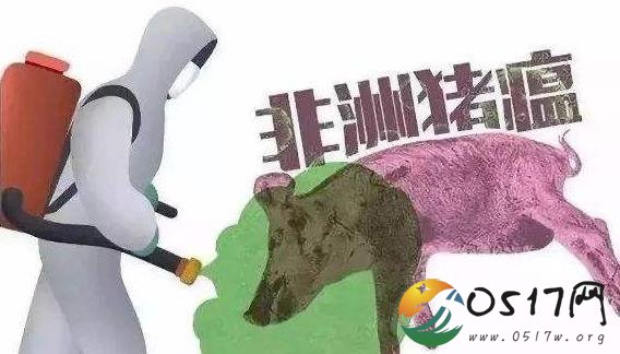 黑龙江绥化明水发生非洲猪瘟 目前疫情情况如何